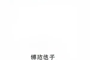 《半点心》剧集封面示意图，桌面上摊开的手机聊天界面